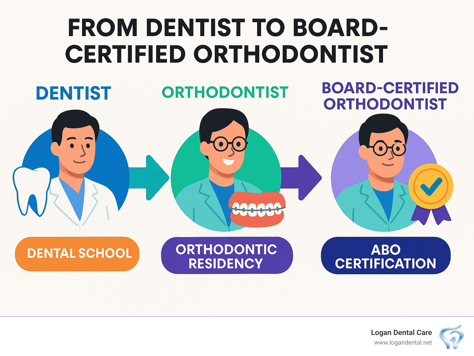 Infographic explaining the educational path from dentist to orthodontist to board-certified orthodontist. - board certified orthodontist infographic 
