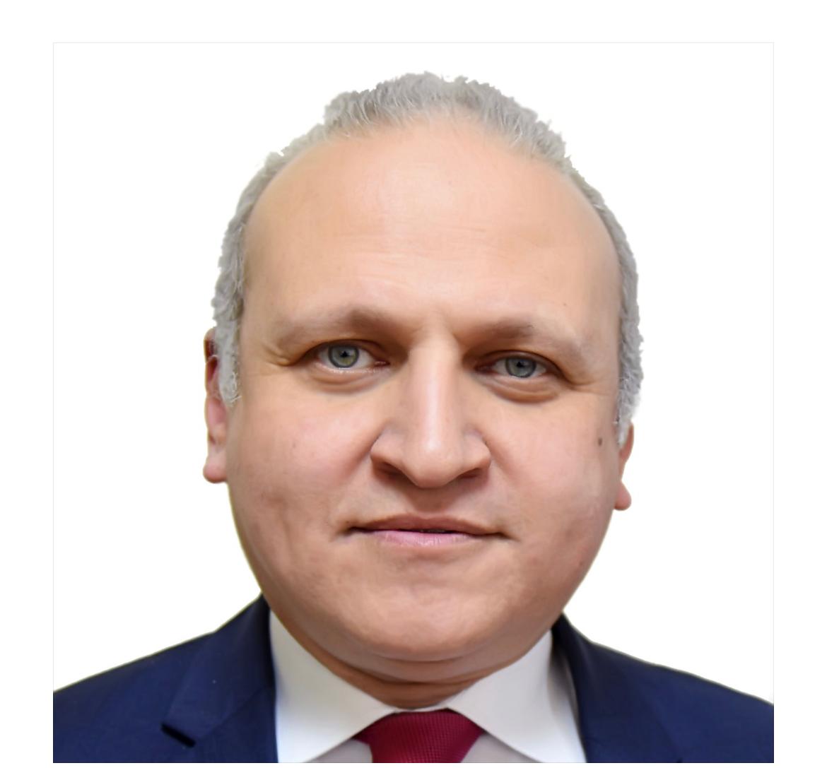 Portrait of Mohamed  Amr