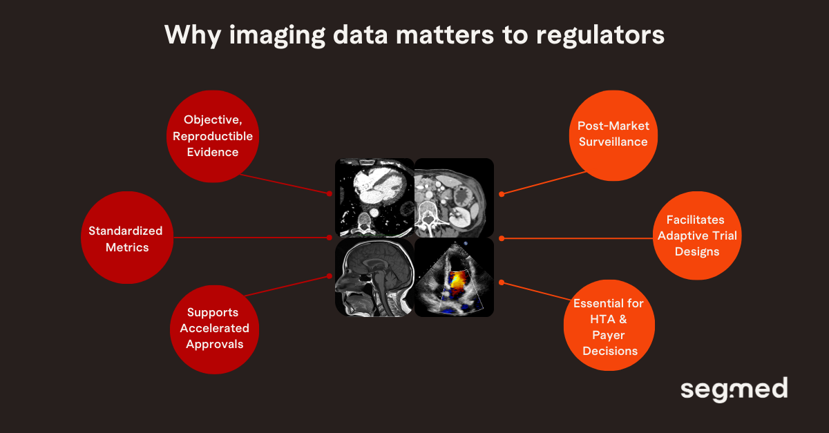 Segmed illustration on Why imaging data matters to regulators