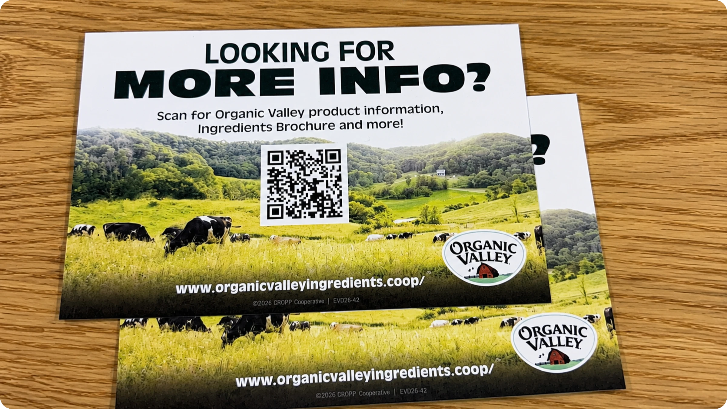 what is a brochure QR Code