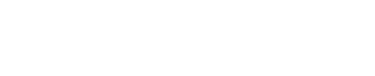 Qdoba Restaurant Corp logo