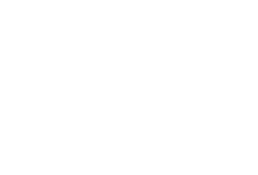 Papa Gino's Inc logo