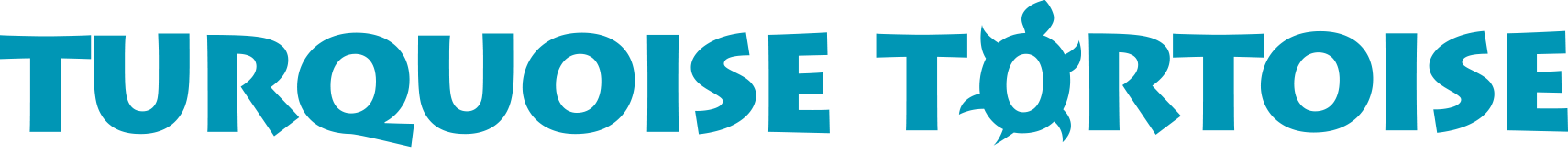 Turquoise Tortoise Logo