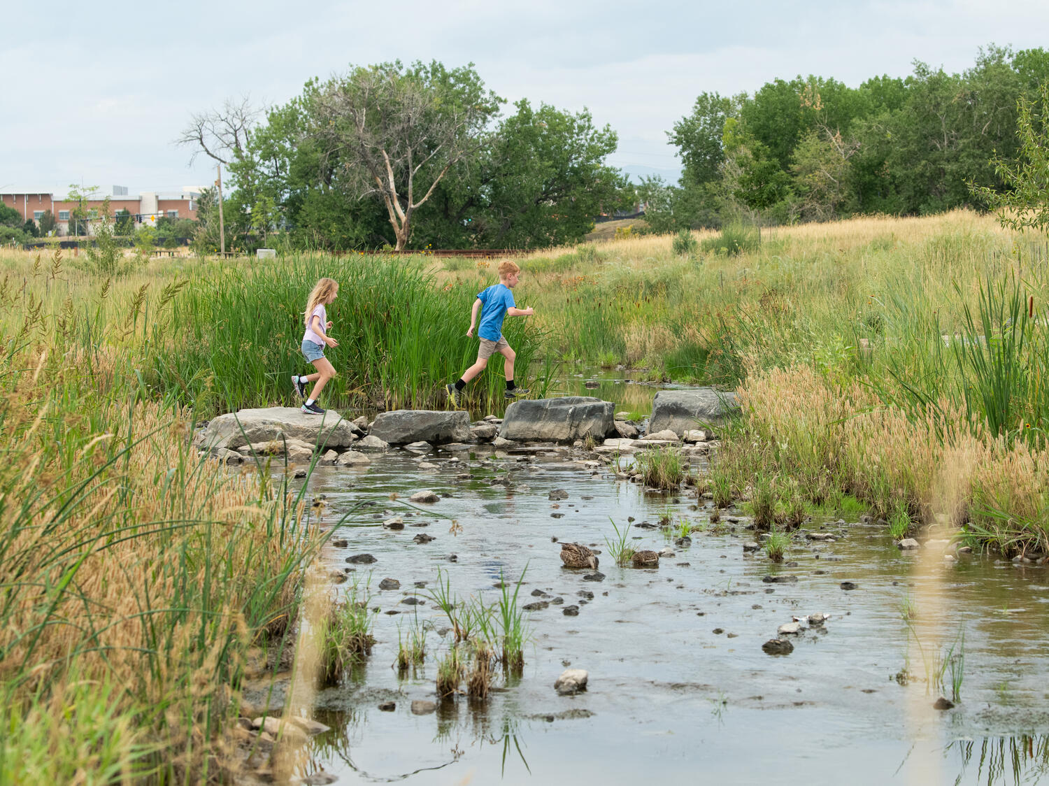 The Big Dry Creek project brought a previously developed park in line with modern design philosophy.