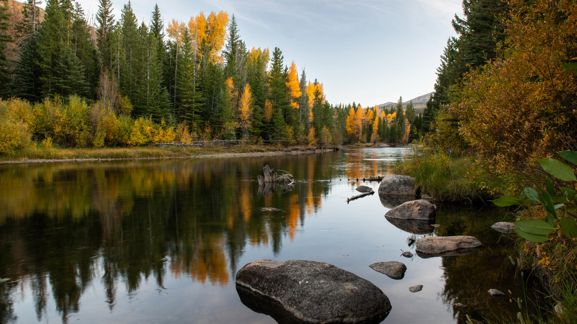 Autumn color paints the woodlands along the Blue River in Colorado. A new rule change will likely affect how fish and wildlife habitat is managed under federal regulations. 