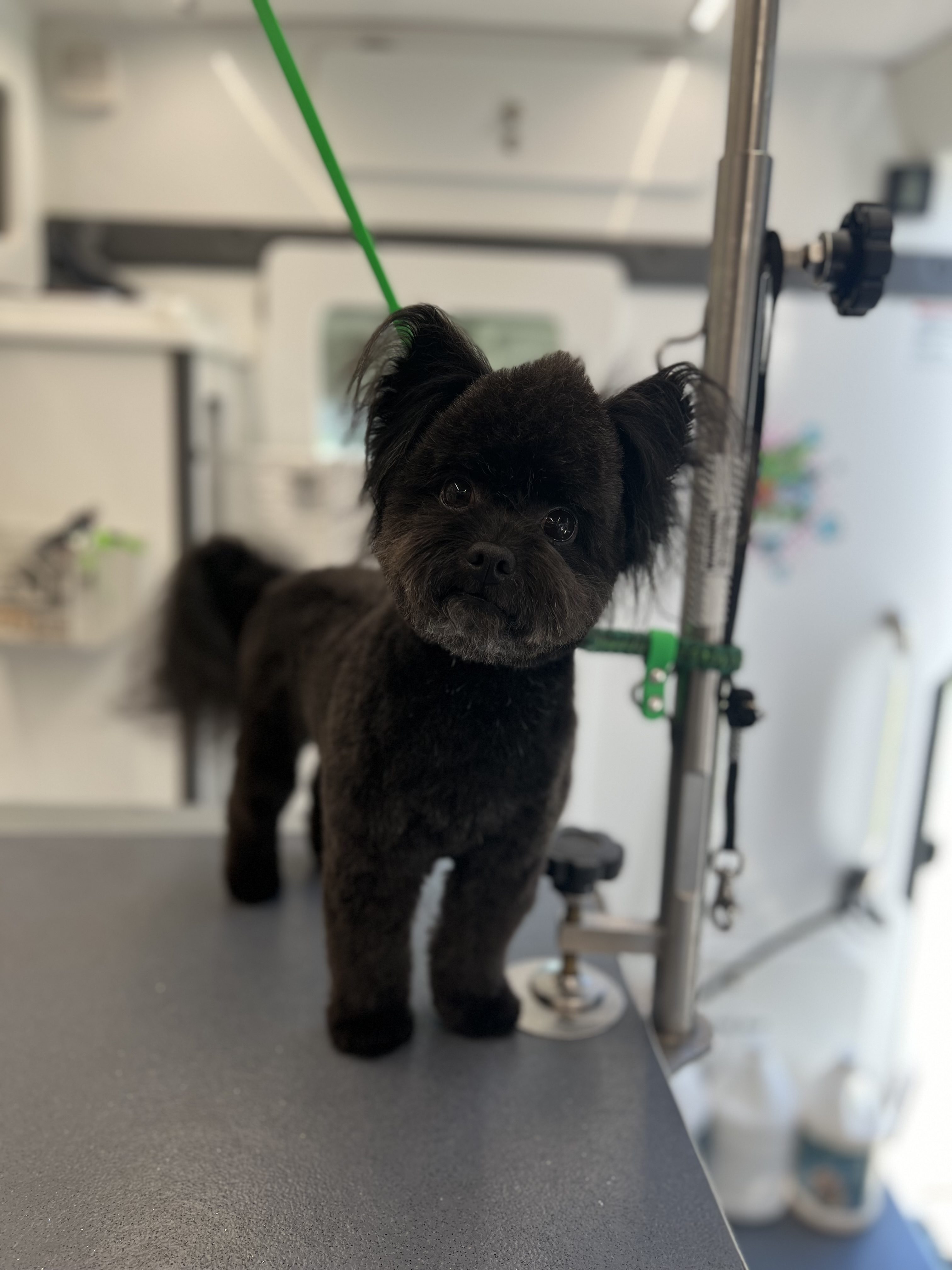 Why wear a costume when you look this good?