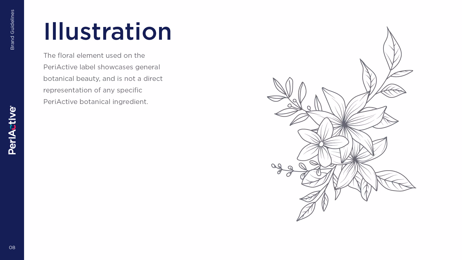 Black and white line drawing of flowers and leaves with text about PeriActive botanical illustration.