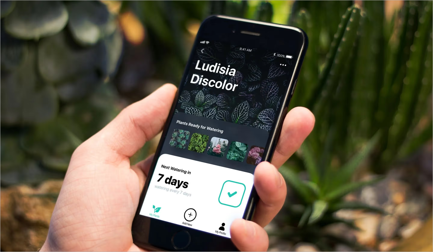 Mockup of the app design shows a simplified UI prominently featuring decorative visuals of plants