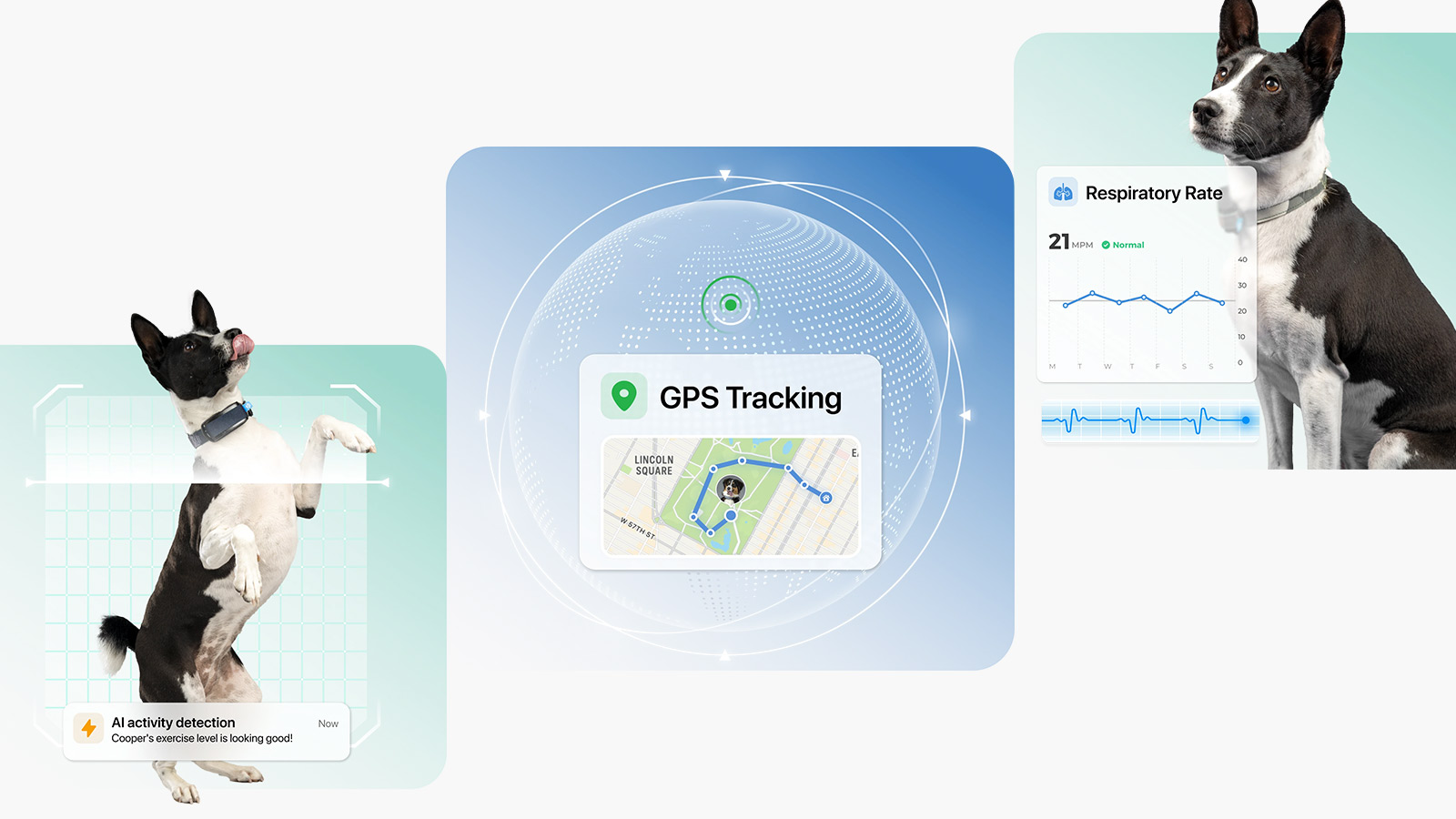 Features for Invoxia's pet health app include GPStracking, exercise level, and respiratory rate