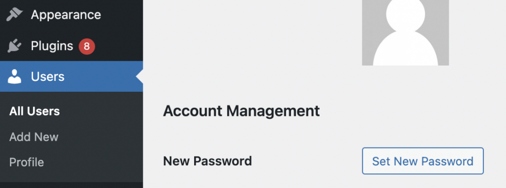 WordPress Set New Password