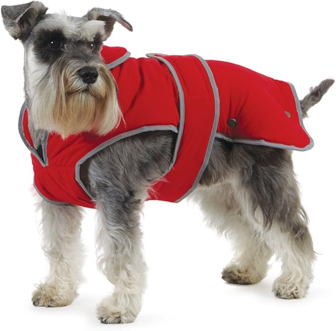 A marketing image of a dog in a red, winter-ready coat.