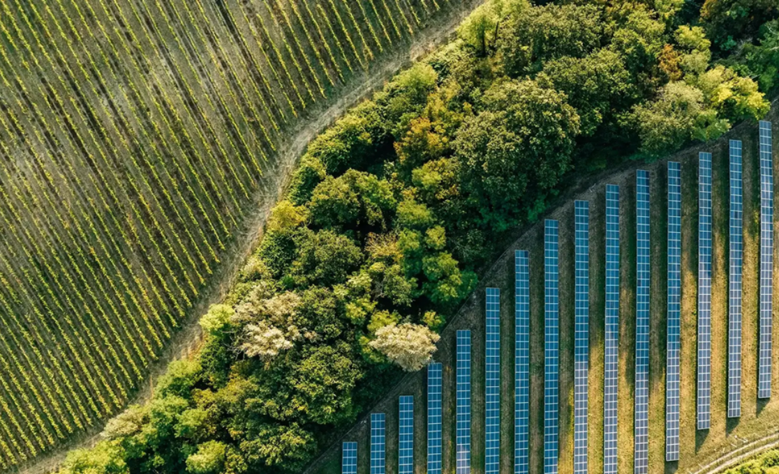 Luftaufnahme eines Solarparks neben einem Weinberg