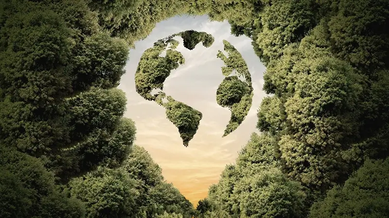 Baumkronen die eine Weltkugel in einem Standort Icon formen vor einem gelblich-orangen Himmel bei Sonnenuntergang