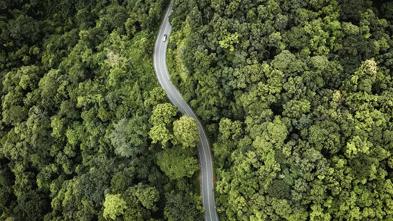 So können Sie 100.000 Euro sinnvoll anlegen