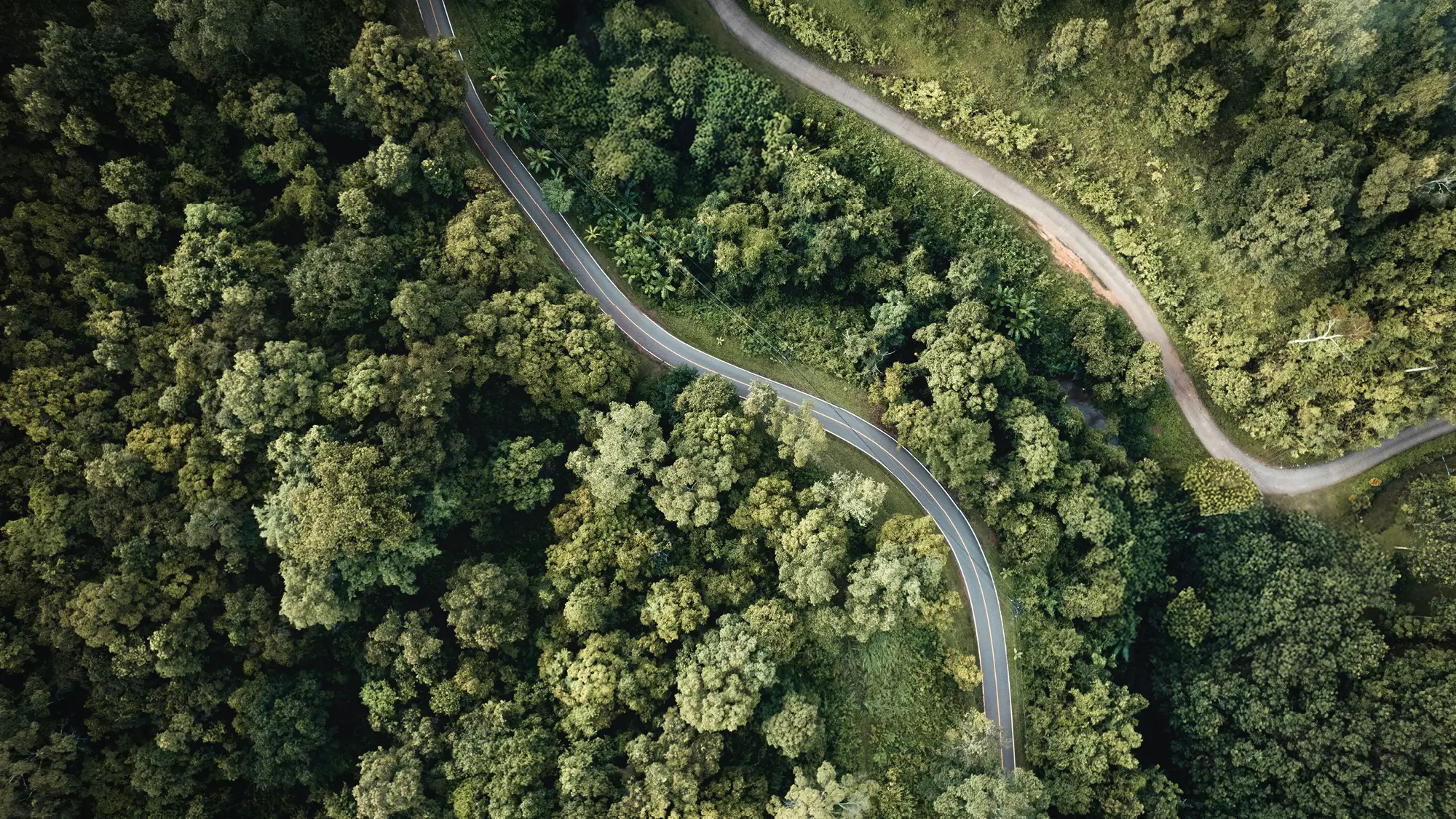 Eine Frau sitzt am Schreibtisch und prüft, wie Sie eine Million Euro investieren kann. 
