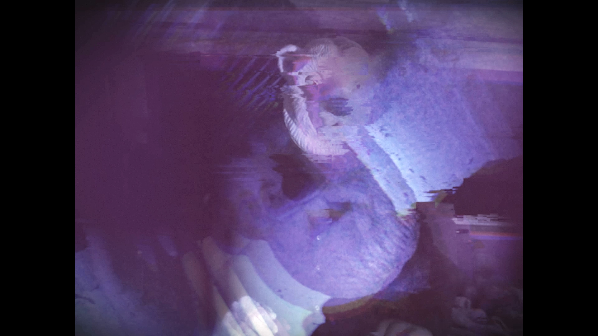 A snapshot of one of the band members of De Delvers dressed as a polar bear from the videoclip of "Poolnacht" blurred with another member dancing.