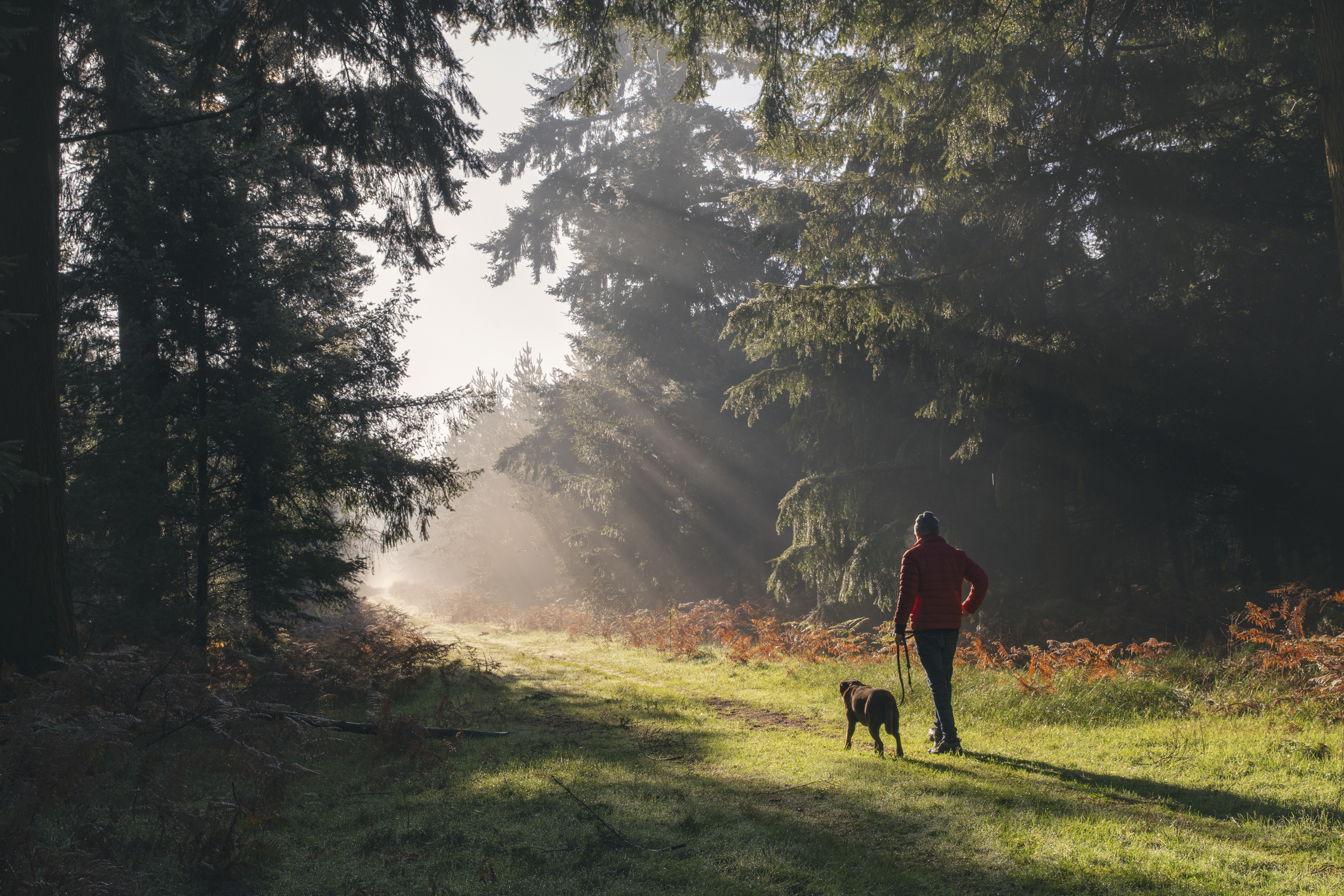 How green is my energy supplier?