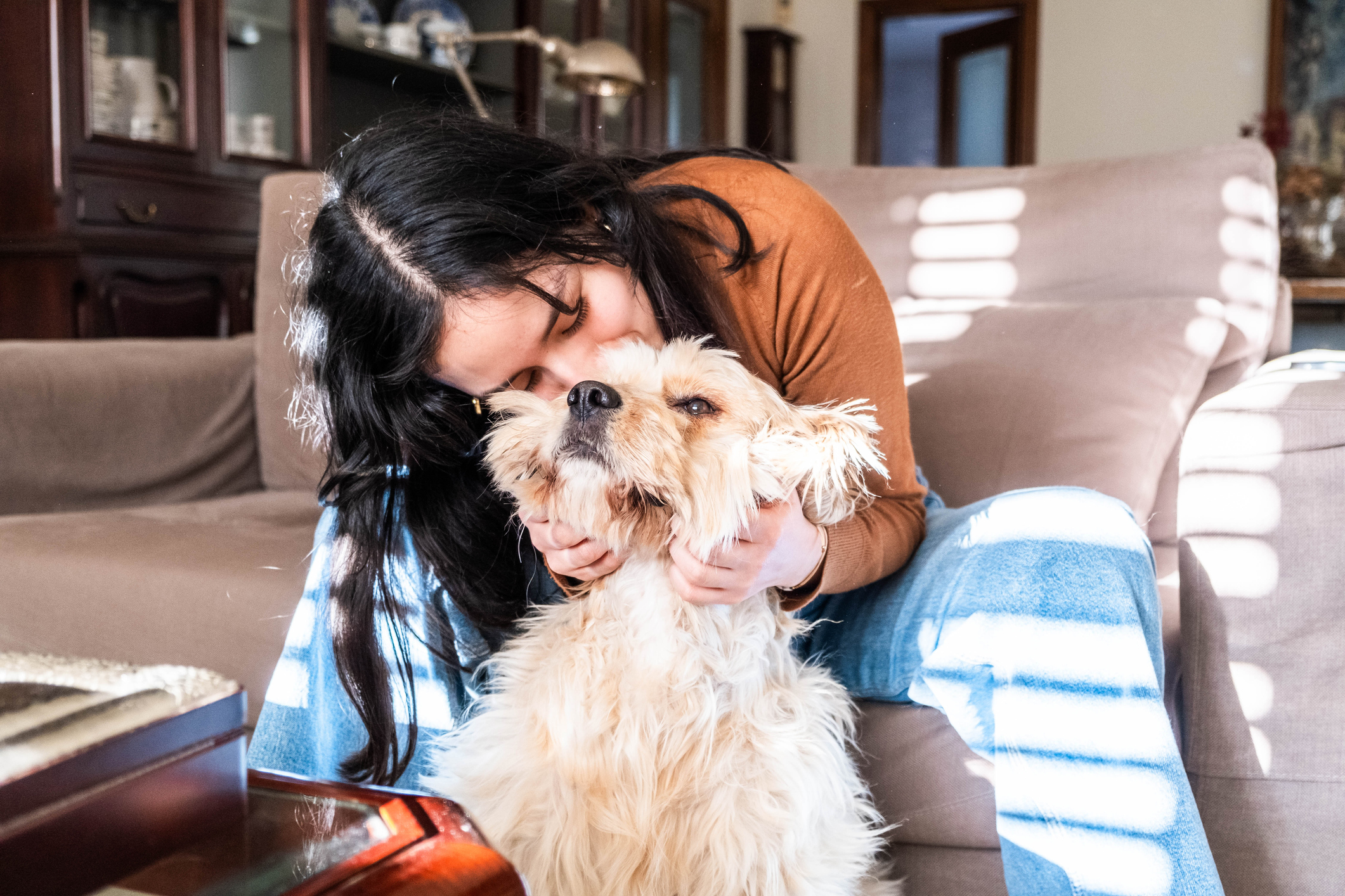 Different types of solar panels in the UK