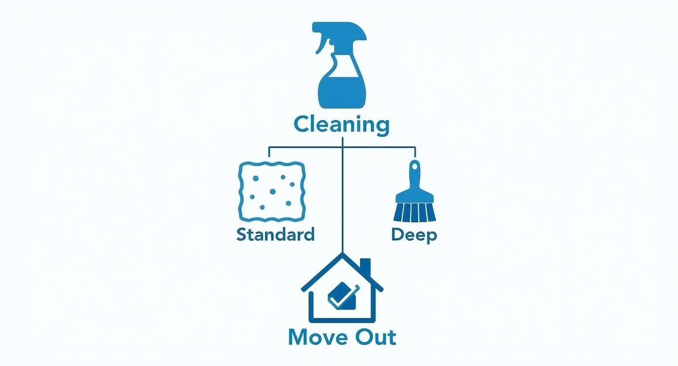 Infographic about what is move out cleaning