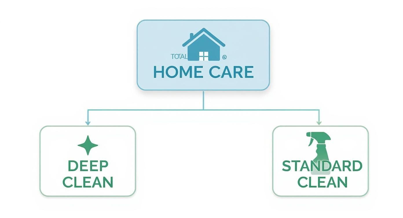 Flowchart detailing Total Home Care services, offering both Deep Clean and Standard Clean options.