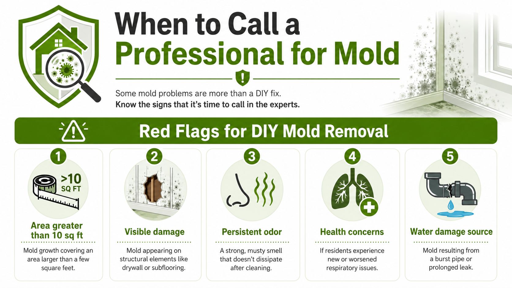 An infographic detailing five key red flags indicating when homeowners should call professional mold removal experts.