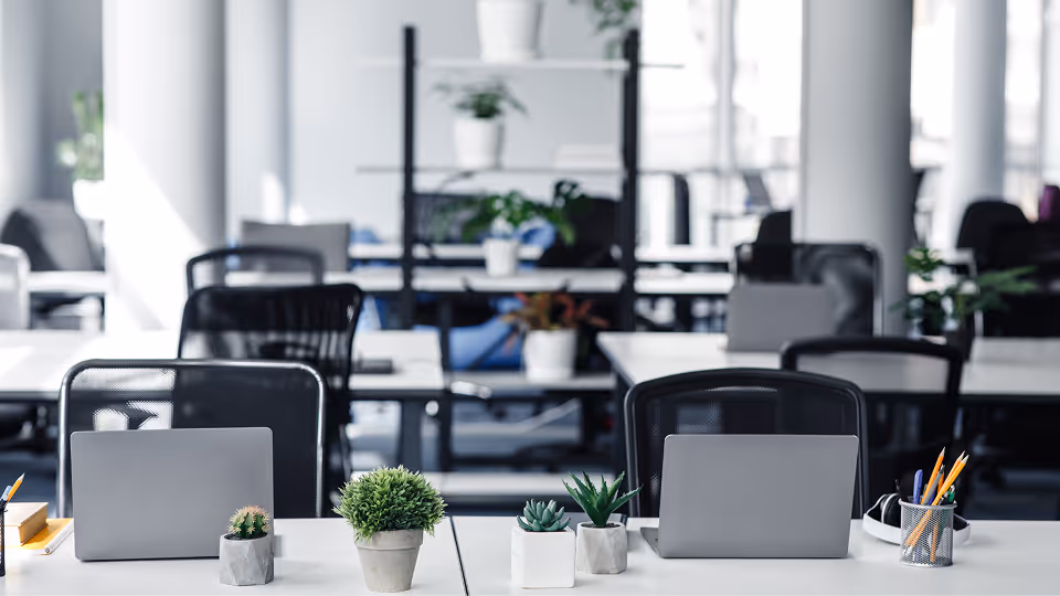 Moderne Büroumgebung mit zwei Schreibtischen, jeweils ausgestattet mit Pflanzen, Laptops und Bürobedarf. Im Hintergrund sind weitere Schreibtische und Regale sichtbar.