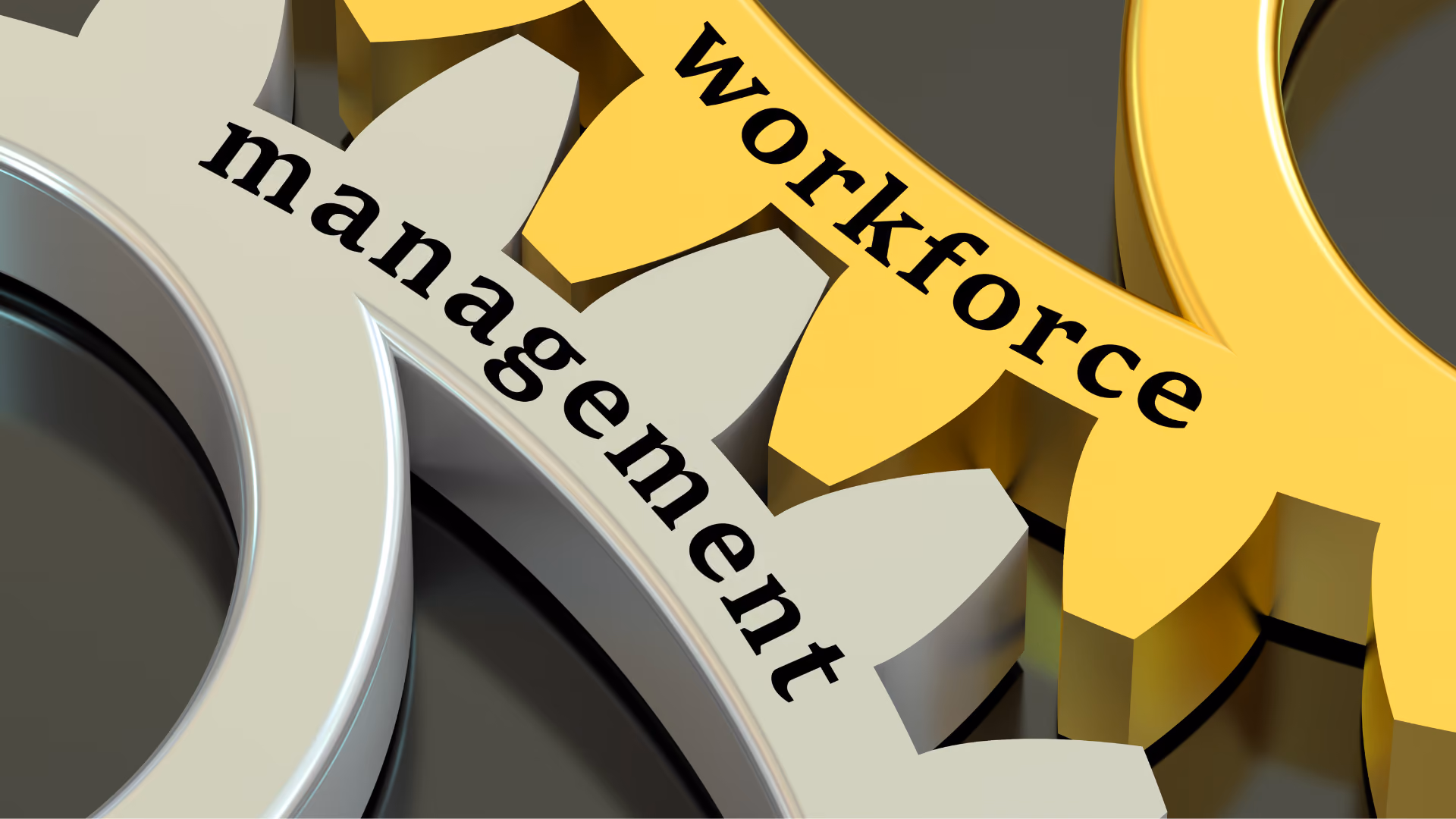 zwei Zahnräder mit den Titeln Workforce und Management greifen ineinander