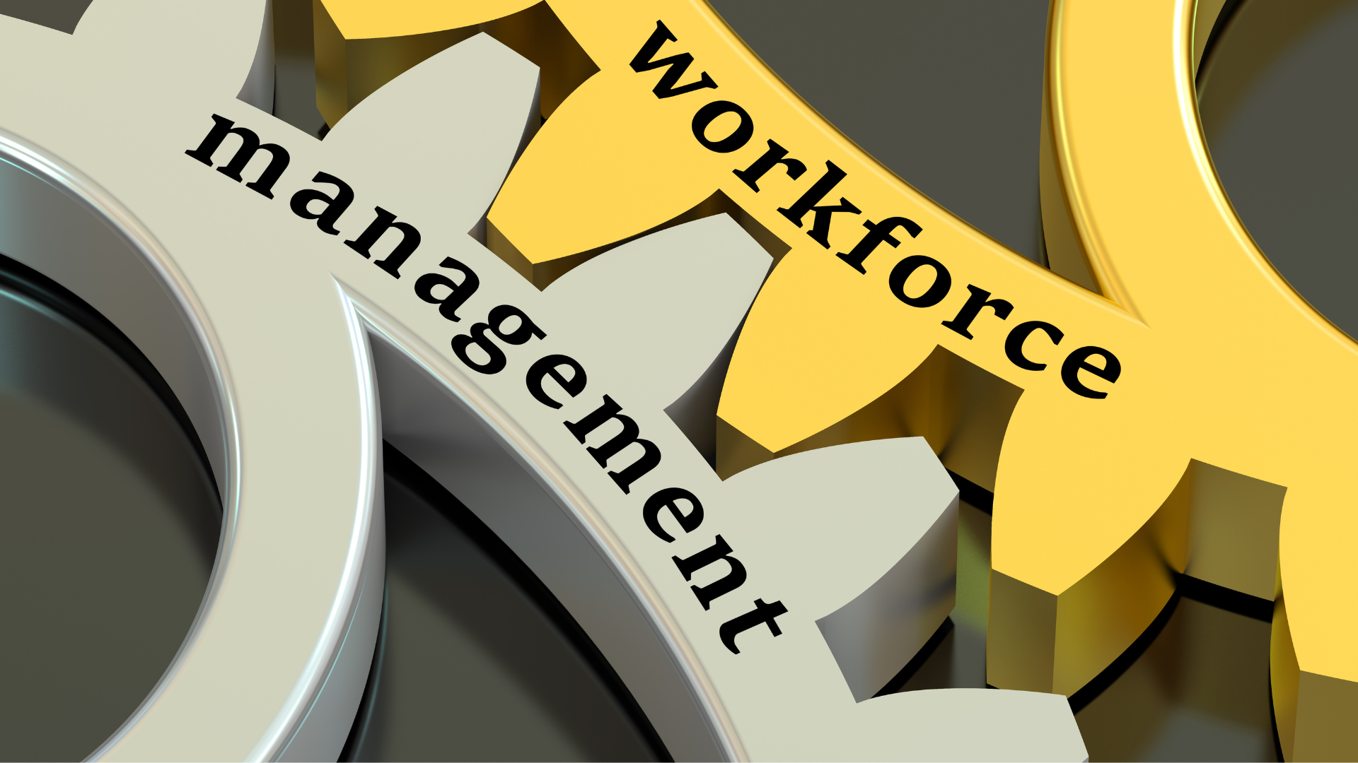 zwei Zahnräder mit den Titeln Workforce und Management greifen ineinander