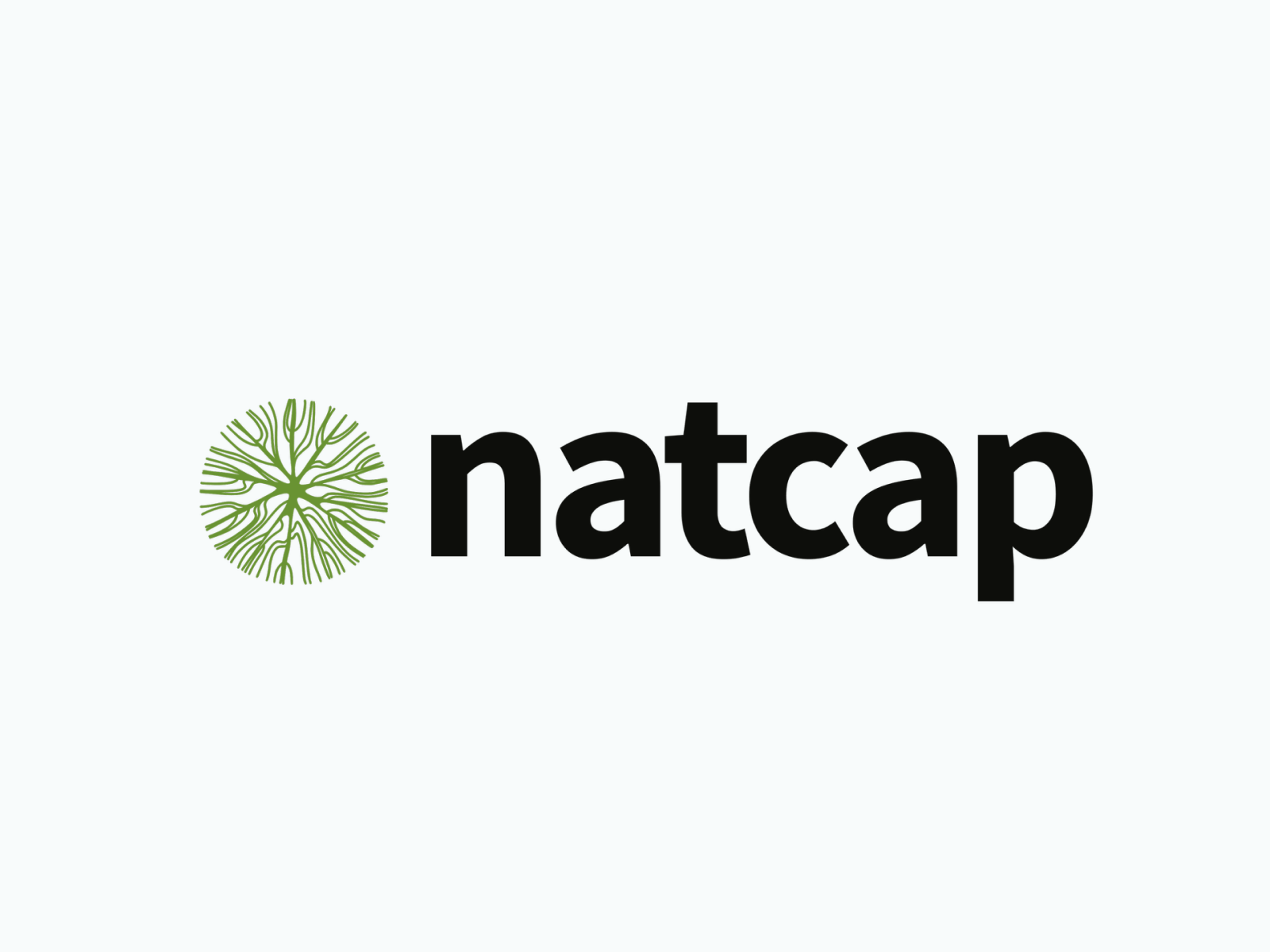 natcap logo