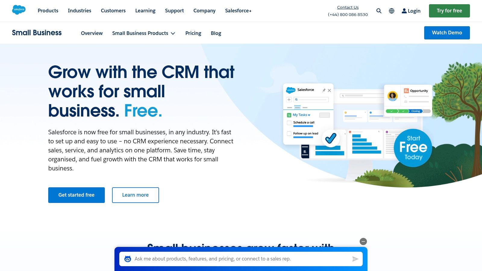Salesforce Essentials