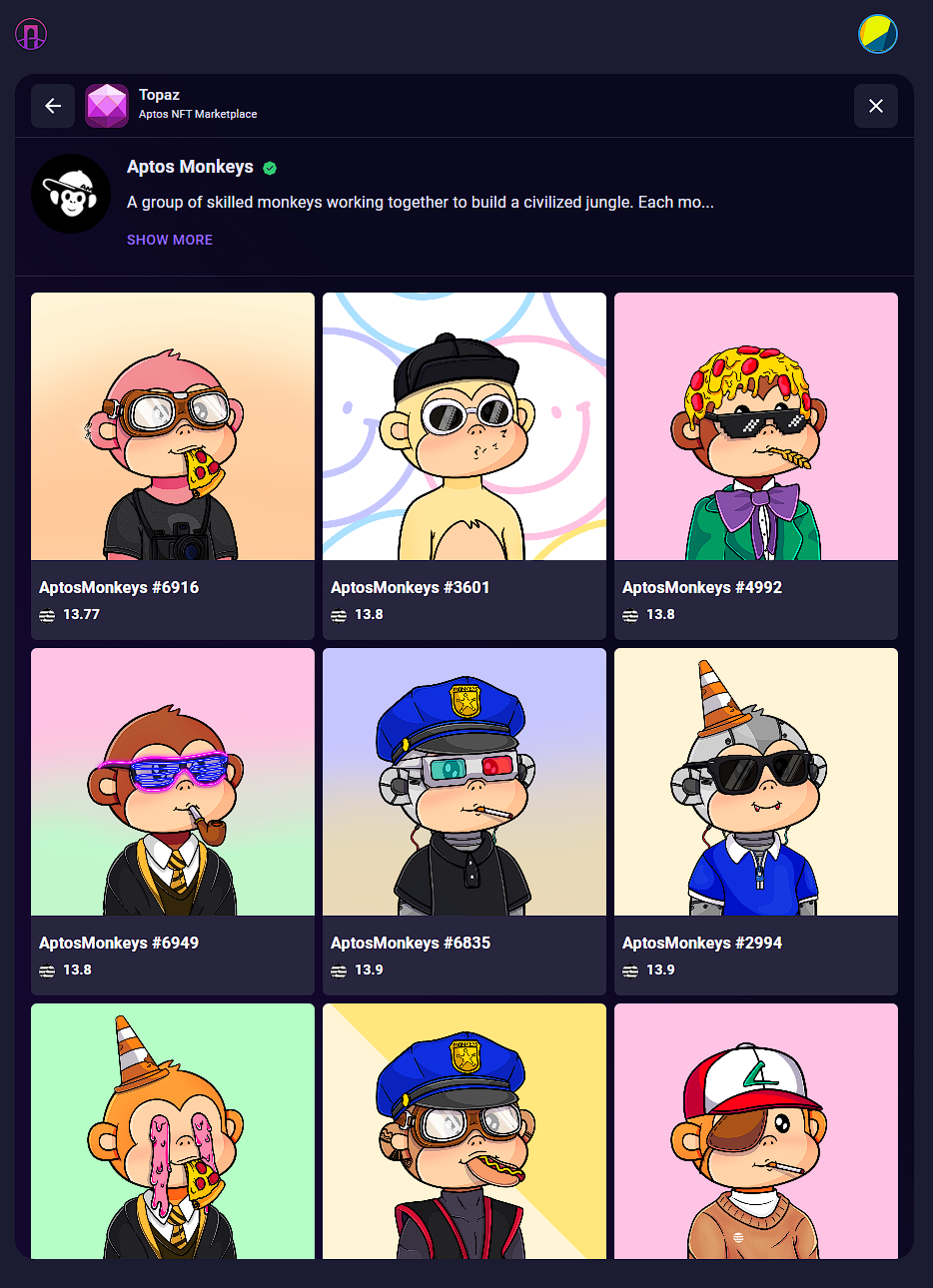 Pontem Network Topaz Integration page