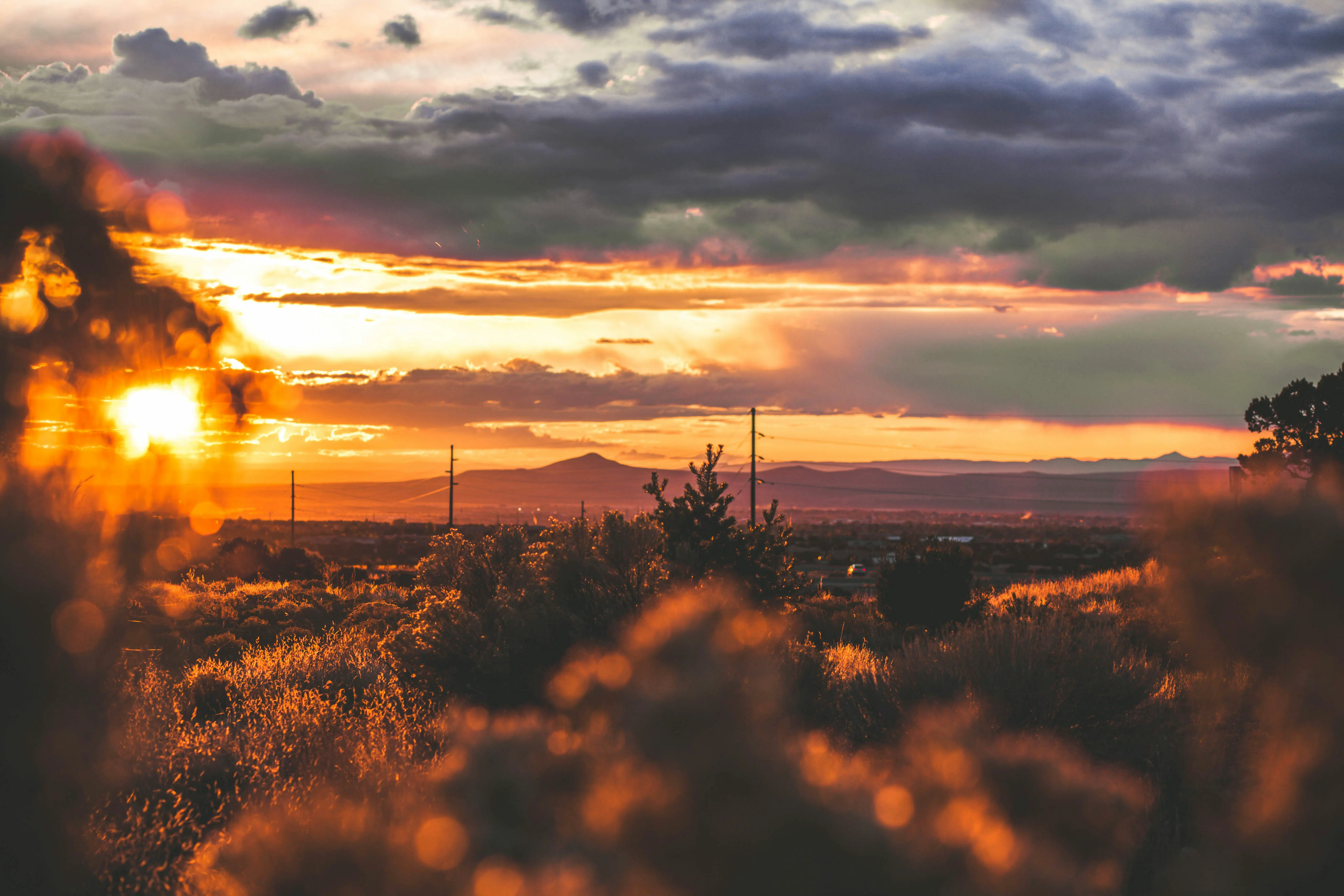 Understanding New Mexico Self-employed Taxes