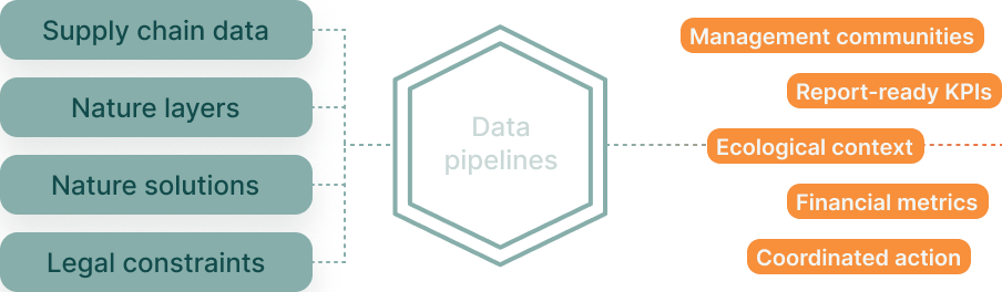 Data pipelines process