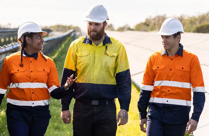 Anne Webster MP Net Zero