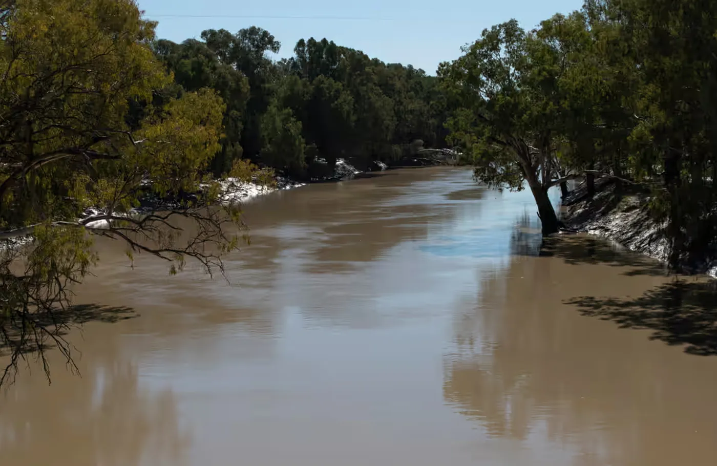 Anne Webster MP Water Buy Back
