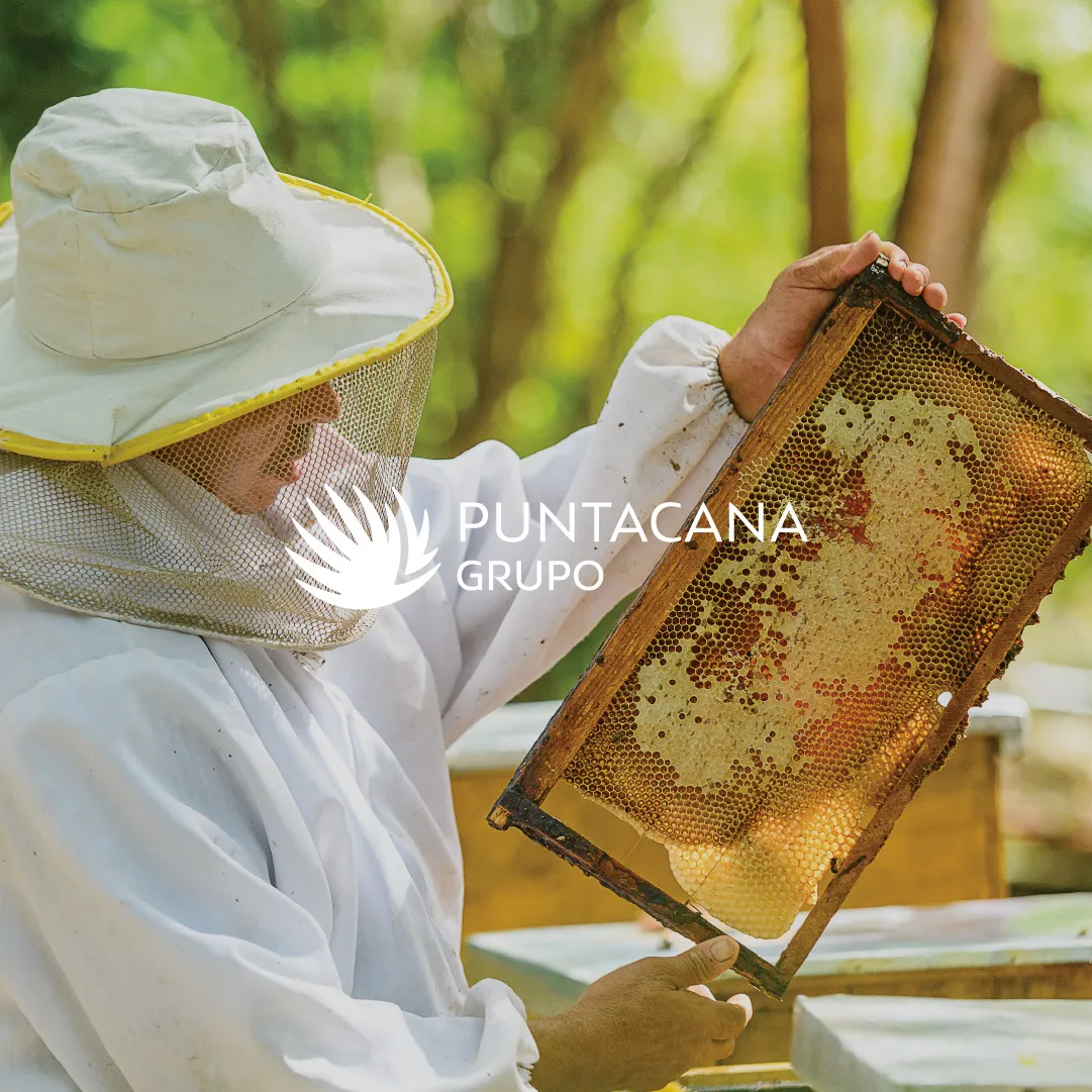 Grupo Puntacana beekeeping and sustainable agriculture initiative