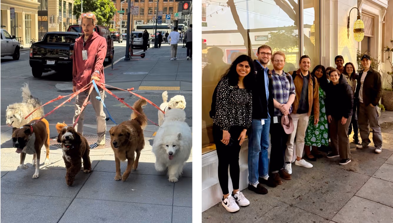 sigma dogs and employees in san francisco