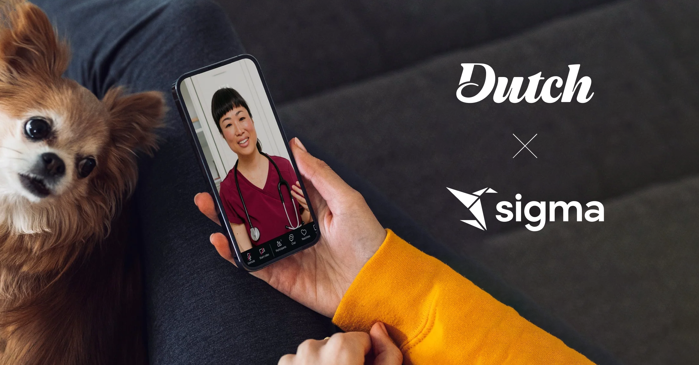 Less Guessing, More Fetching: Dutch Pet’s Data Revolution with Sigma