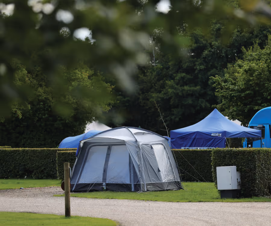 Camping at Deer's Glade