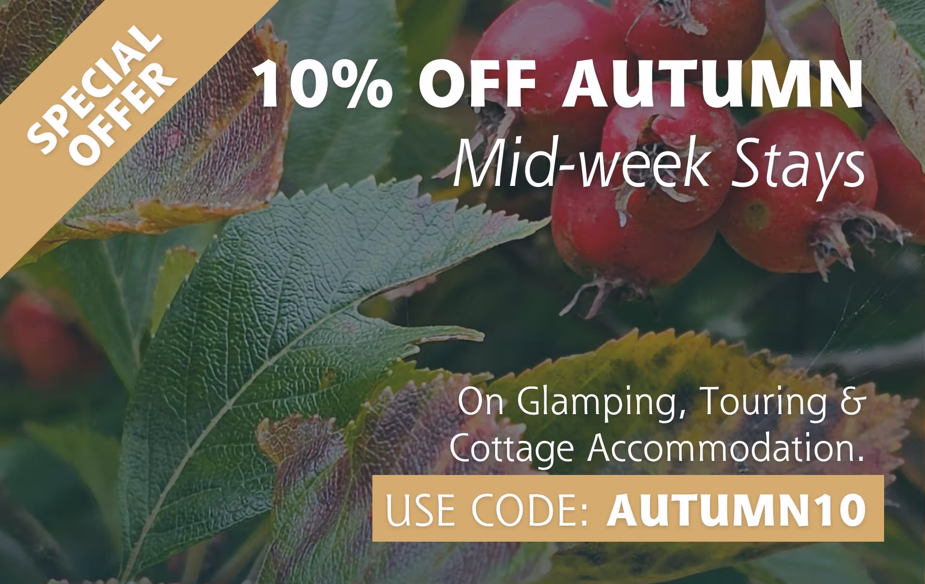 Special Offer 10% OFF Autumn Mid-week Breaks
