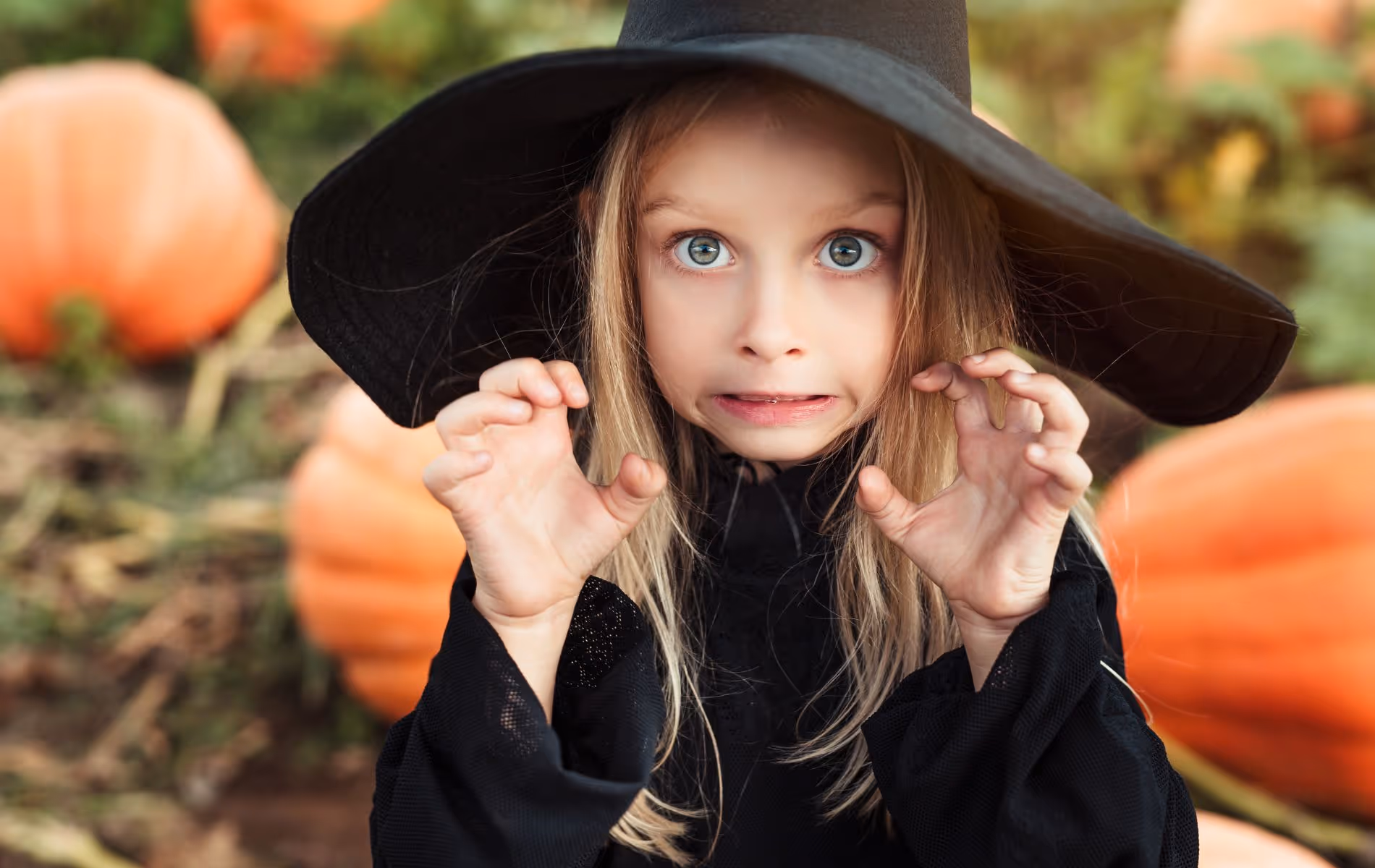 Spooktacular Halloween Fun at Deer's Glade October Half Term