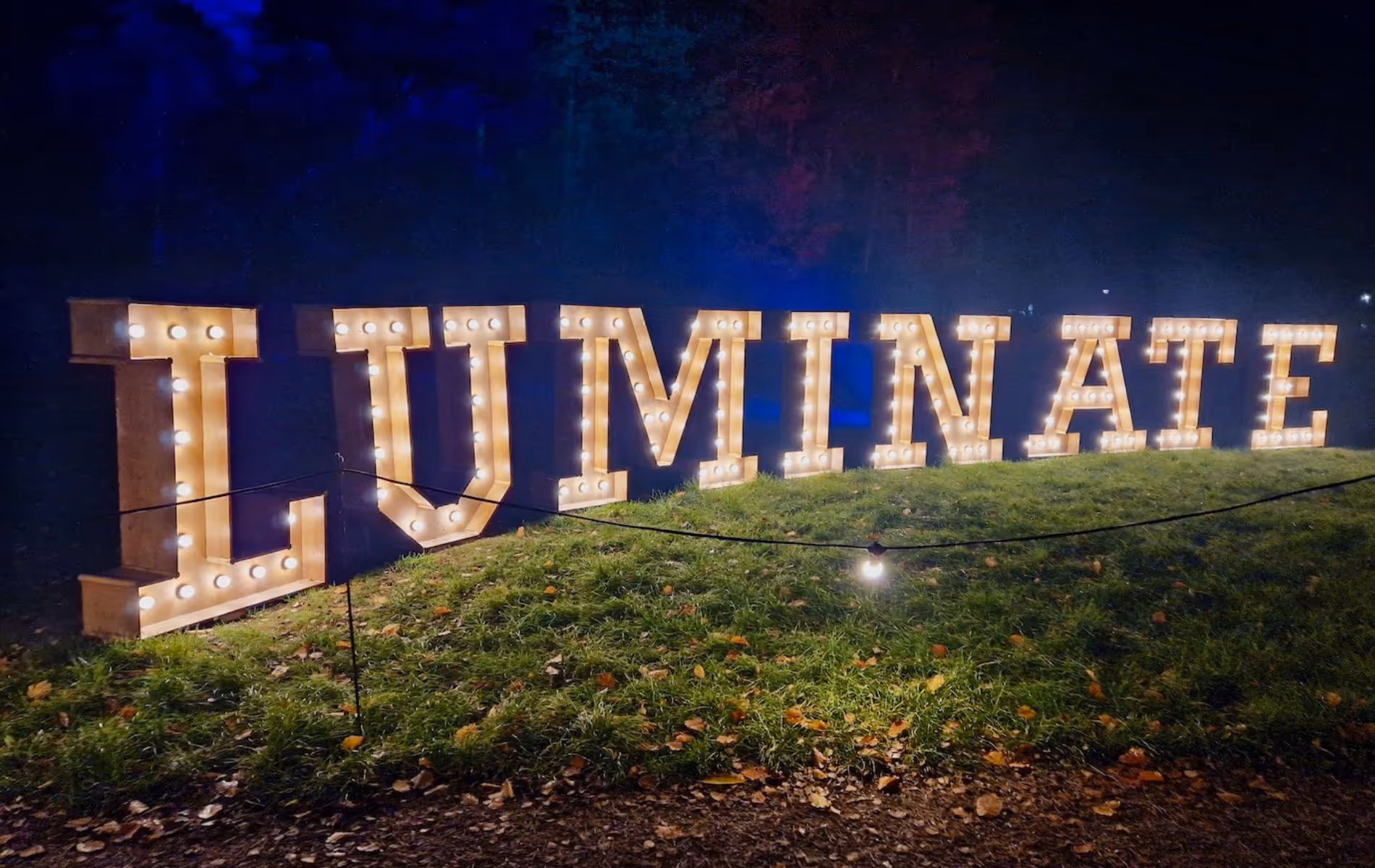 Sandringham Luminate Winter Light Trail 2025