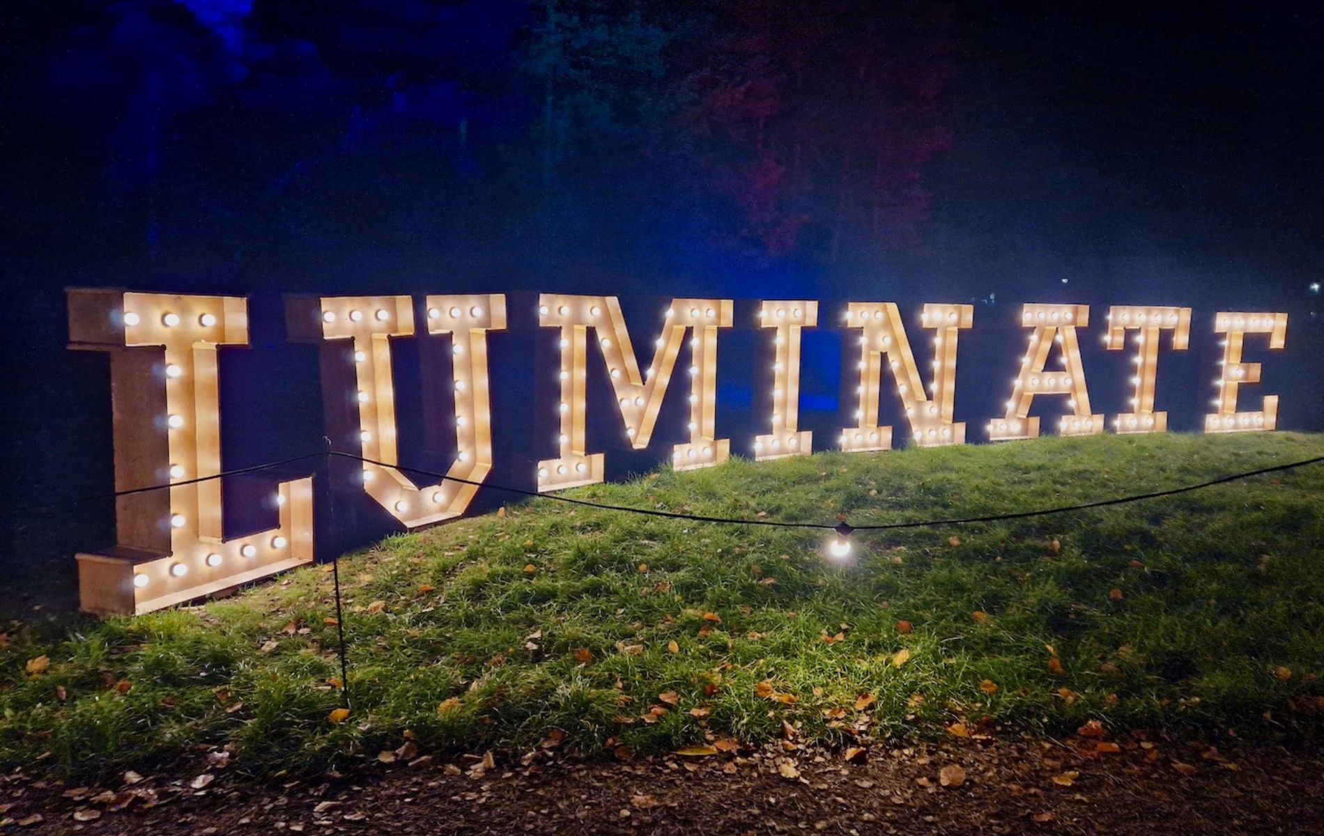 Sandringham Luminate Winter Light Trail 2025