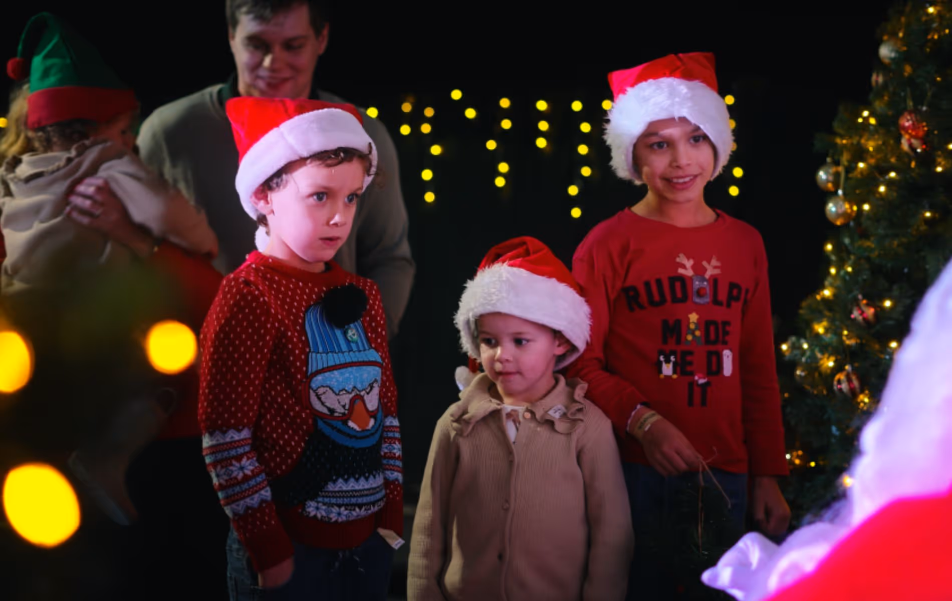 Pensthorpe North Pole Experience 2025