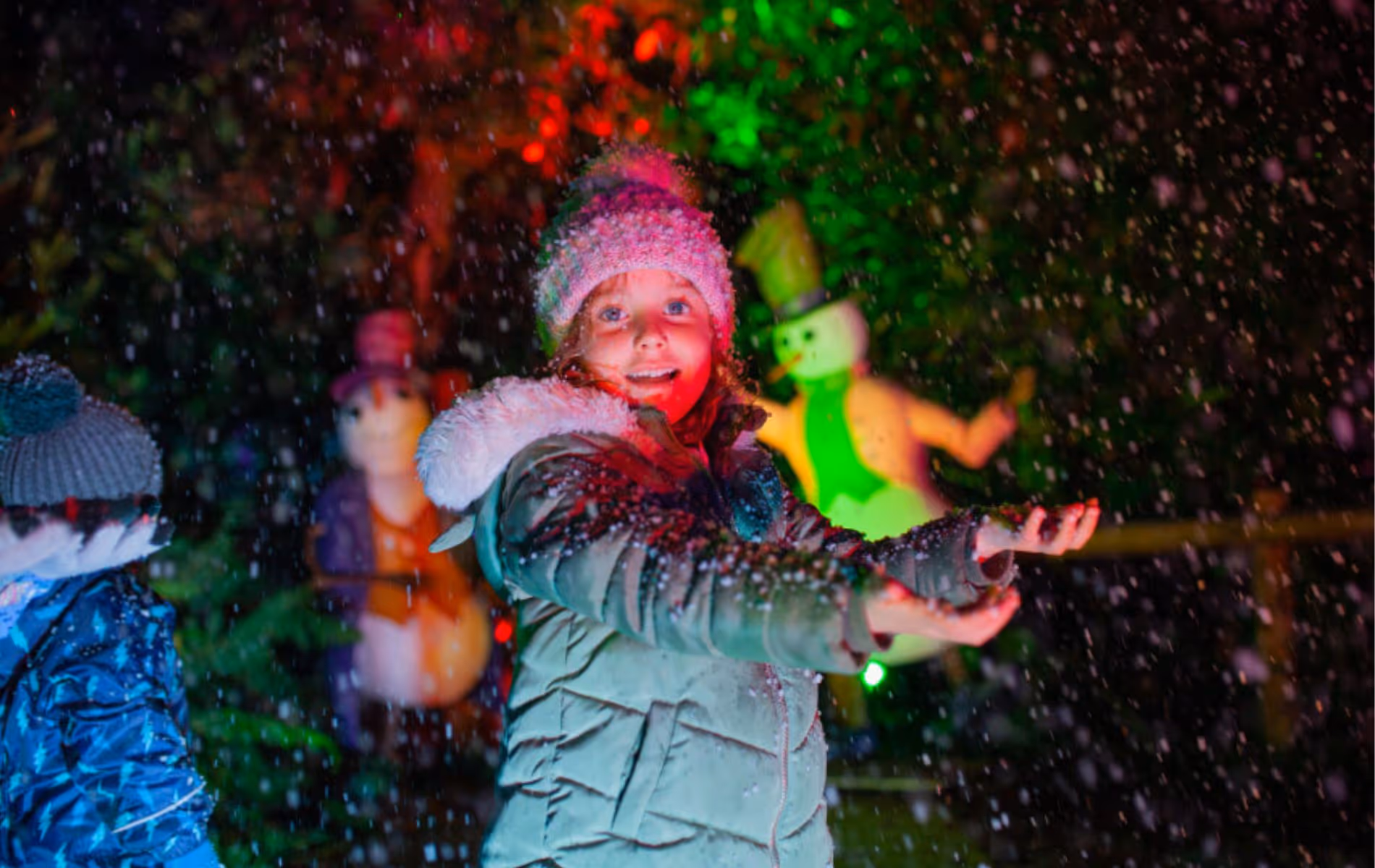Bewilderwood A Starry Night 2025