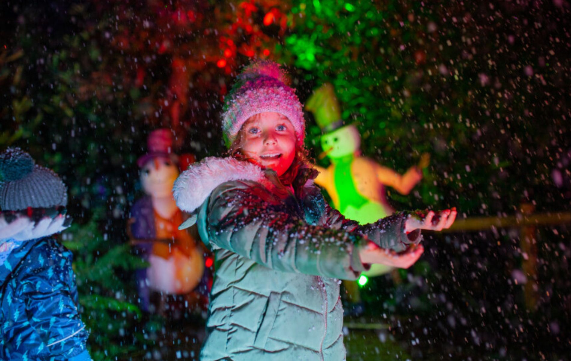 Bewilderwood A Starry Night 2025