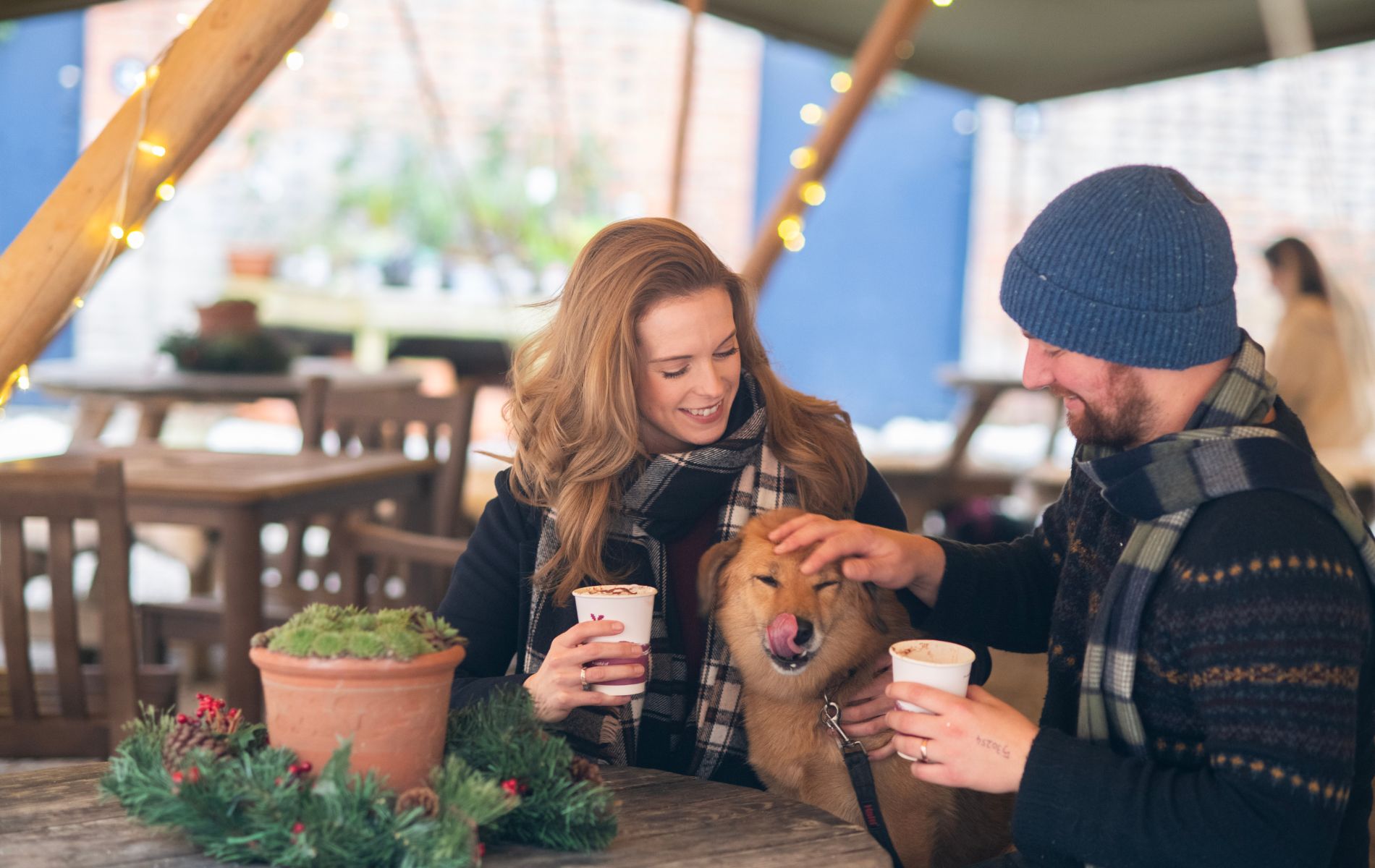Dog Friendly Christmas Events