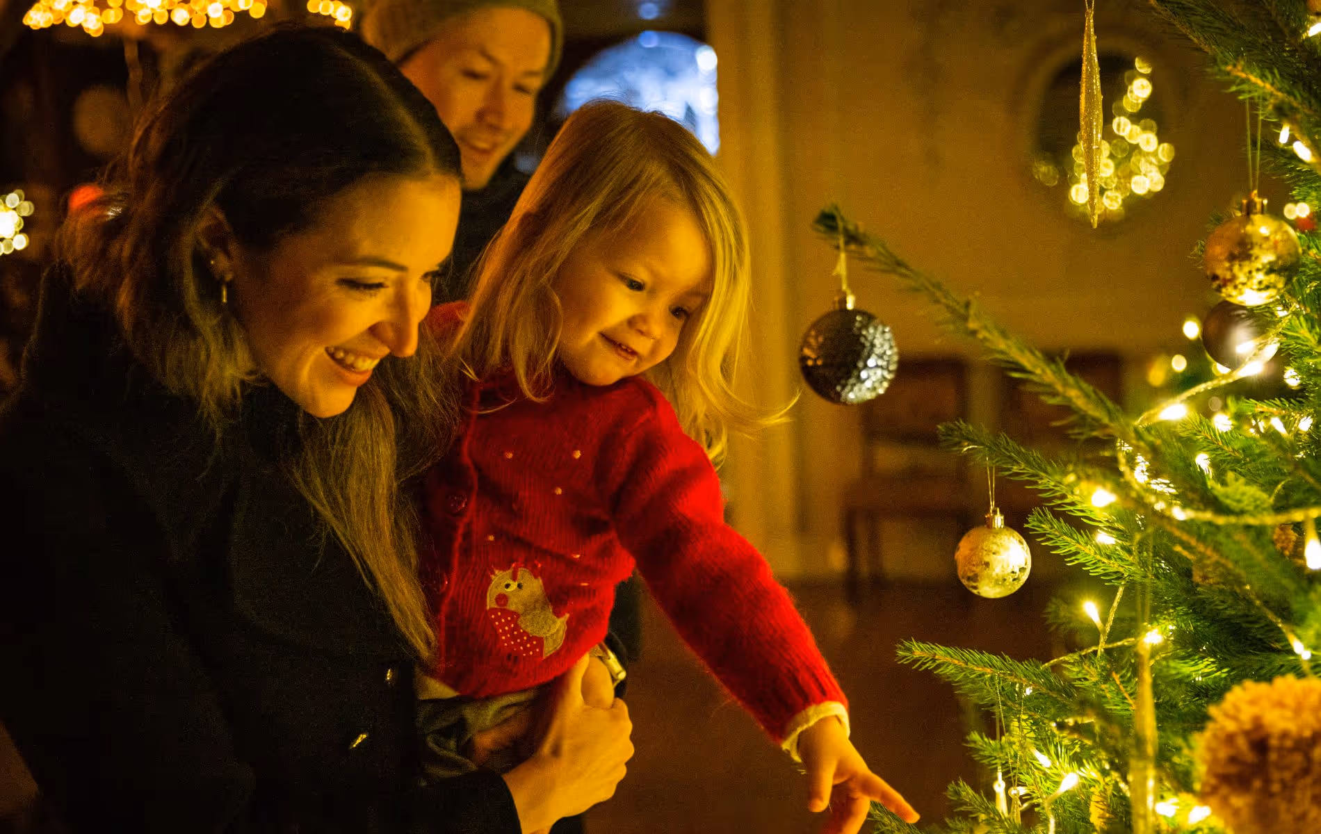 Felbrigg Hall Christmas Events 2025