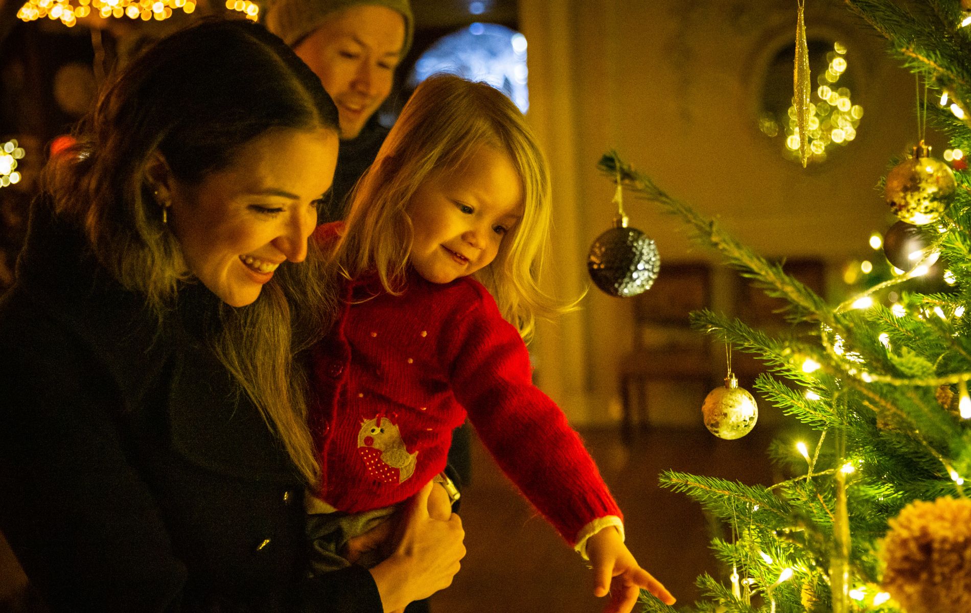 Felbrigg Hall Christmas Events 2025