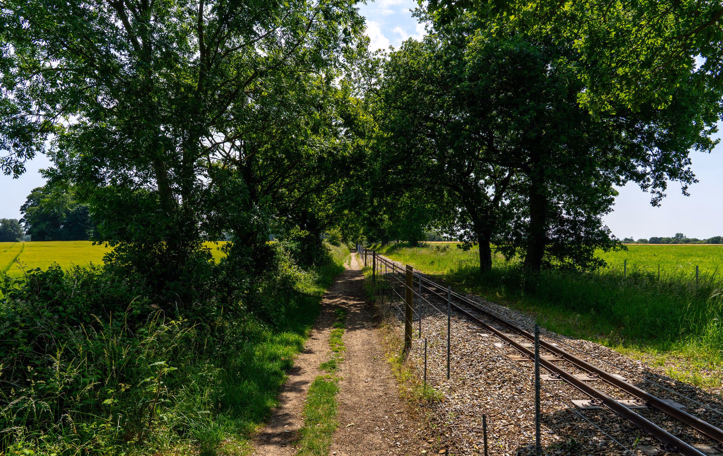 Bure Valley Path